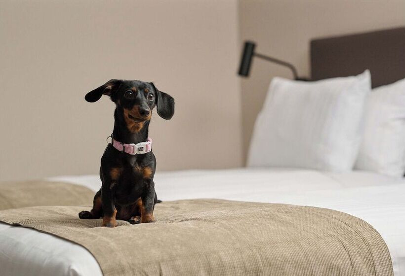 فندق Abode Phillip