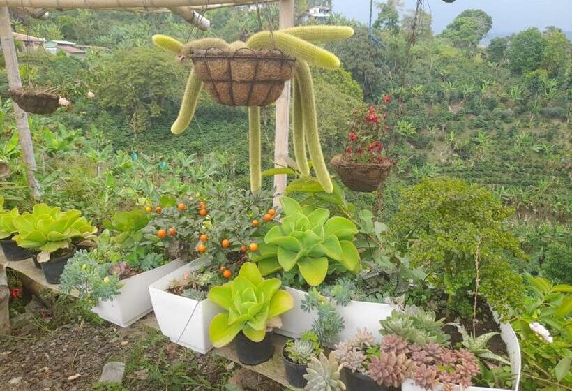 Отель Finca Turística Alto Bonito Filandia