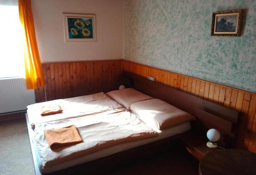 Пансион Penzion U Skrblika