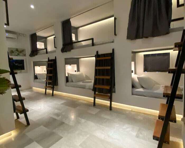 Wild Monkeys Hostel