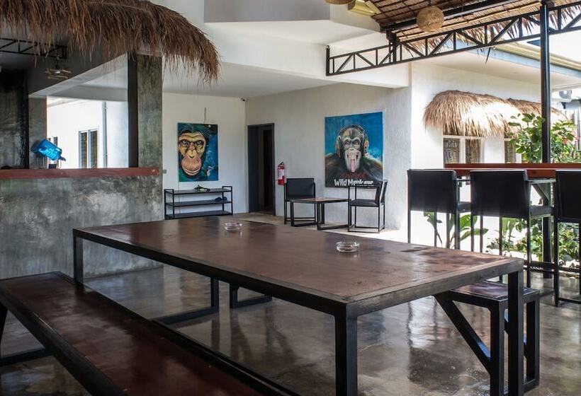 Wild Monkeys Hostel