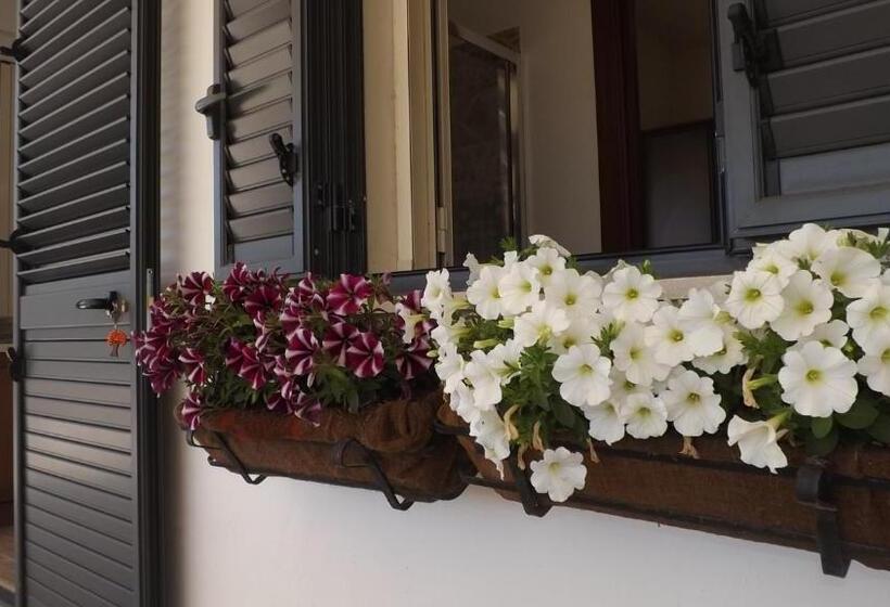 ベッドアンドブレックファースト Beb Nonno Baffo