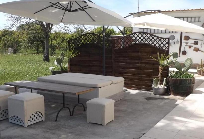 ベッドアンドブレックファースト Beb Nonno Baffo