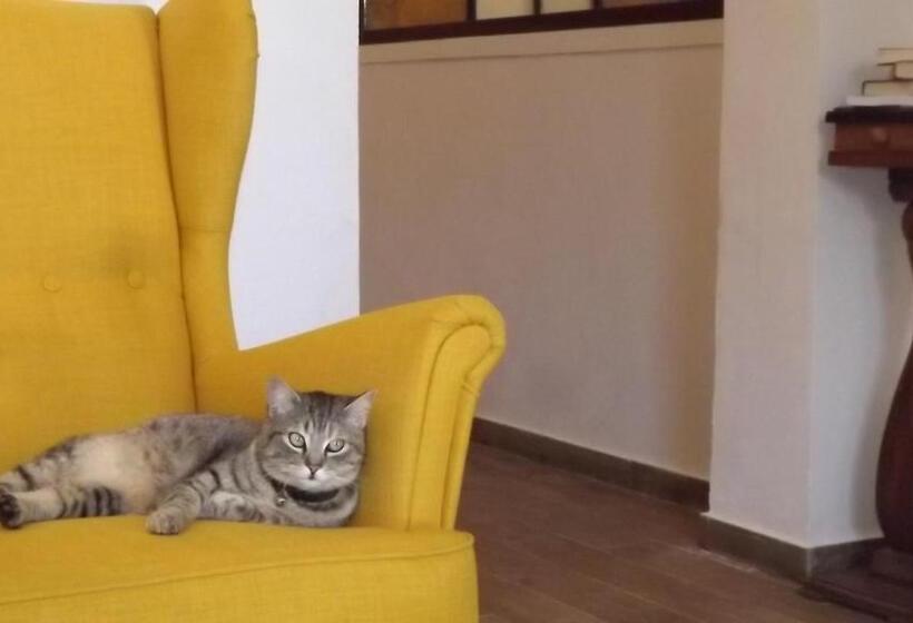 민박 Beb Nonno Baffo