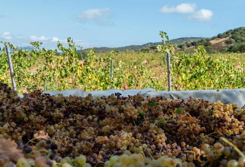 فندق La Ratina Azienda Agricola   Agriturismo   Enoturismo