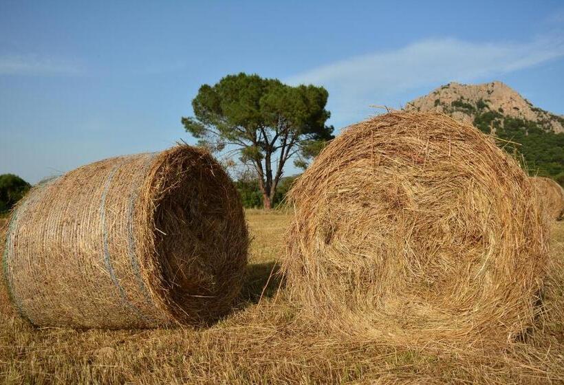 فندق La Ratina Azienda Agricola   Agriturismo   Enoturismo