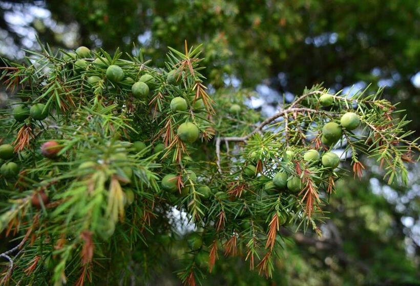 فندق La Ratina Azienda Agricola   Agriturismo   Enoturismo