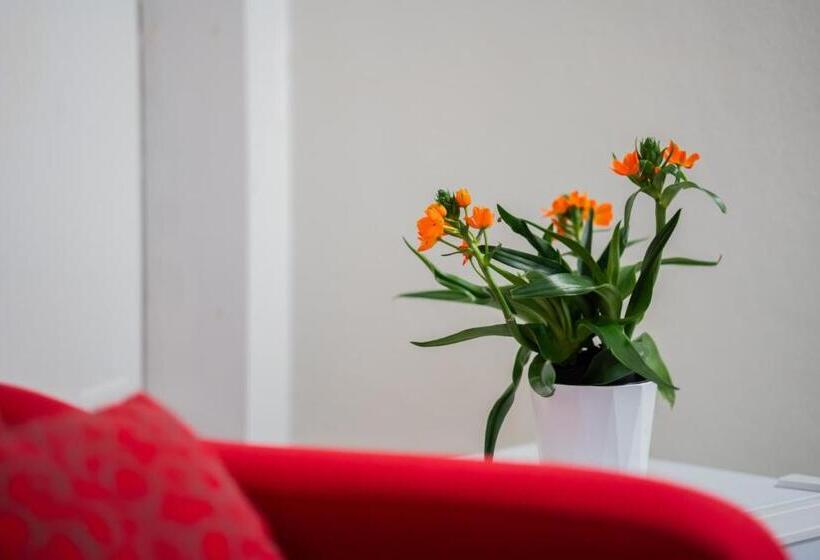 펜션 Affittacamere Anemone  Scirocco1 By Casavacanze Di Angelo
