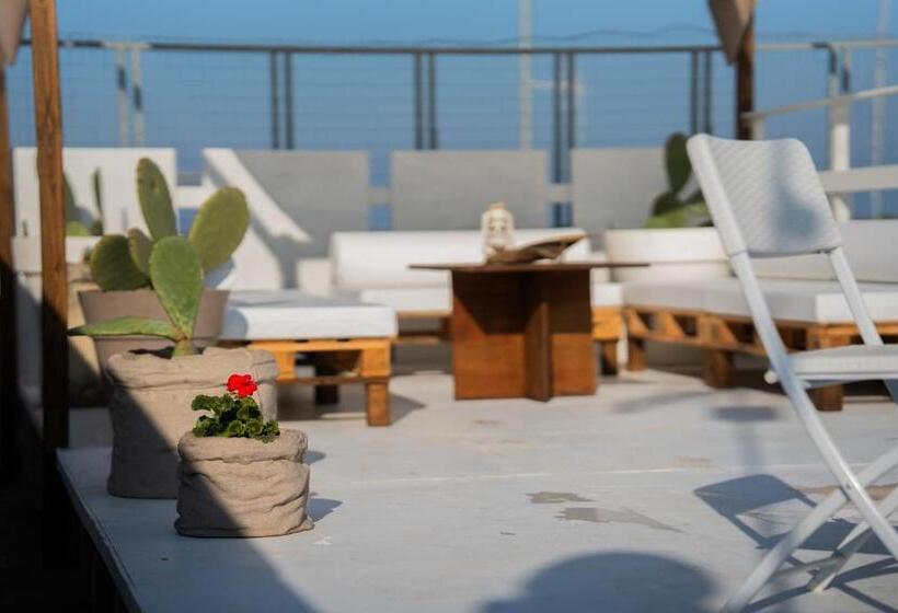 פנסיון Affittacamere Anemone  Scirocco1 By Casavacanze Di Angelo