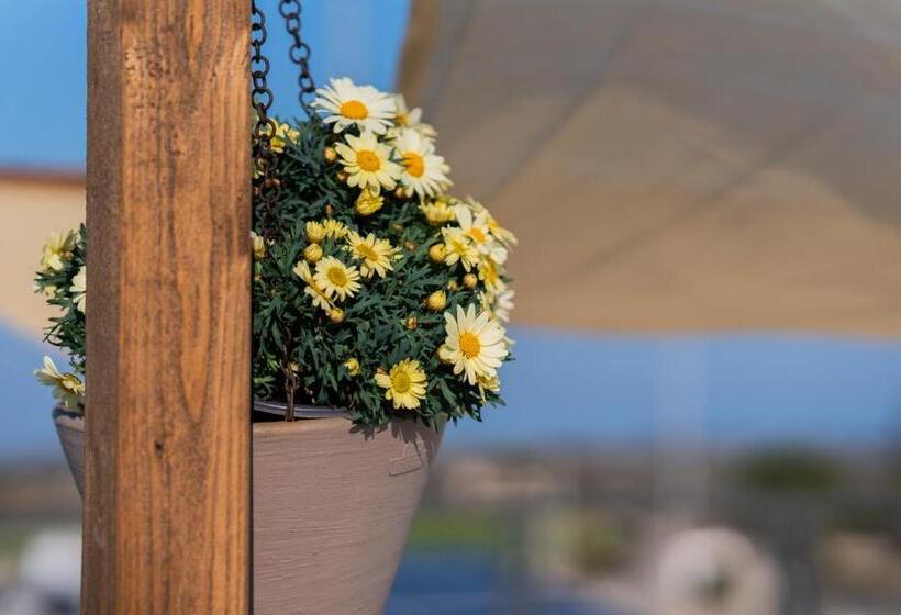 펜션 Affittacamere Anemone  Scirocco1 By Casavacanze Di Angelo