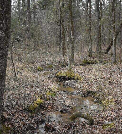 بنسيون Luxury Cabin With Fishing Pond Hot Springs