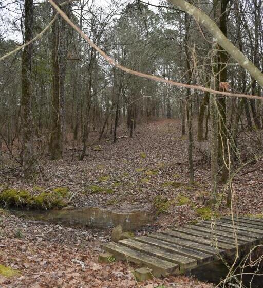 بنسيون Luxury Cabin With Fishing Pond Hot Springs