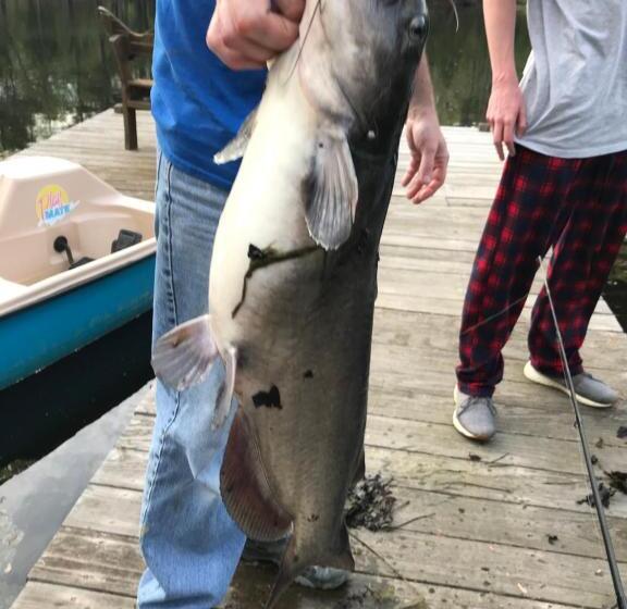بنسيون Luxury Cabin With Fishing Pond Hot Springs