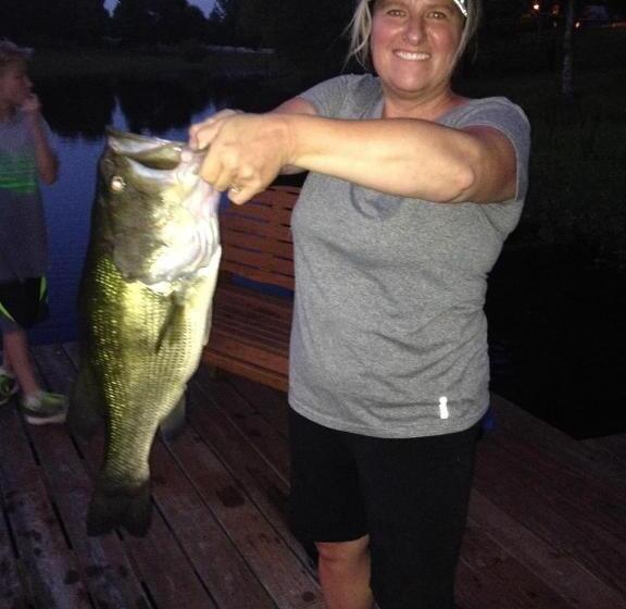 بنسيون Luxury Cabin With Fishing Pond Hot Springs