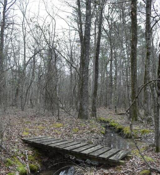 بنسيون Luxury Cabin With Fishing Pond Hot Springs