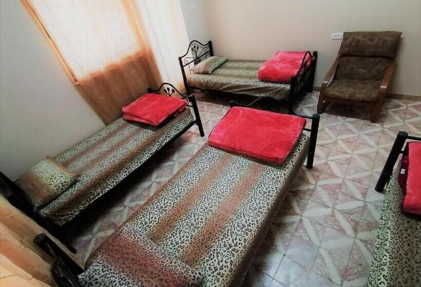 هاستل House Of Peace