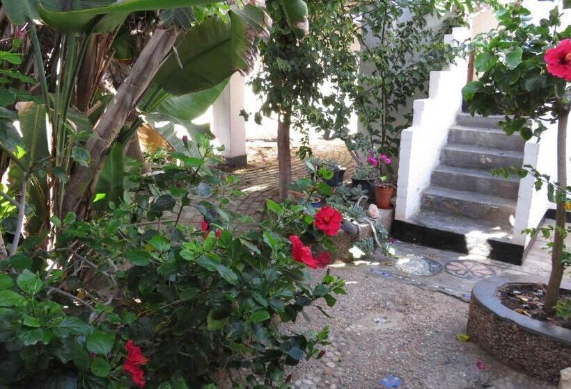 Alternative Space B & B