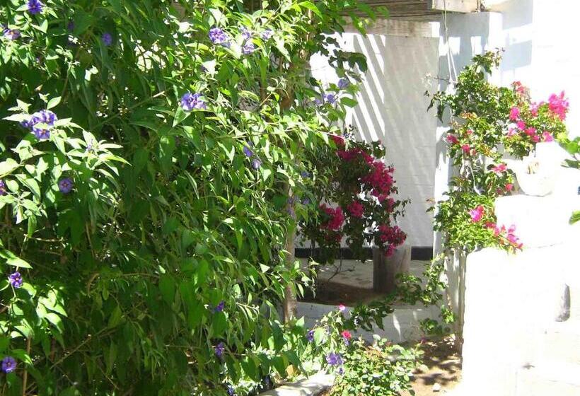 Alternative Space B & B