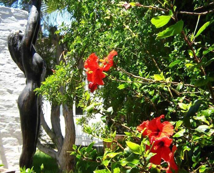 Alternative Space B & B