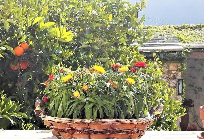 Antico Camino B&b