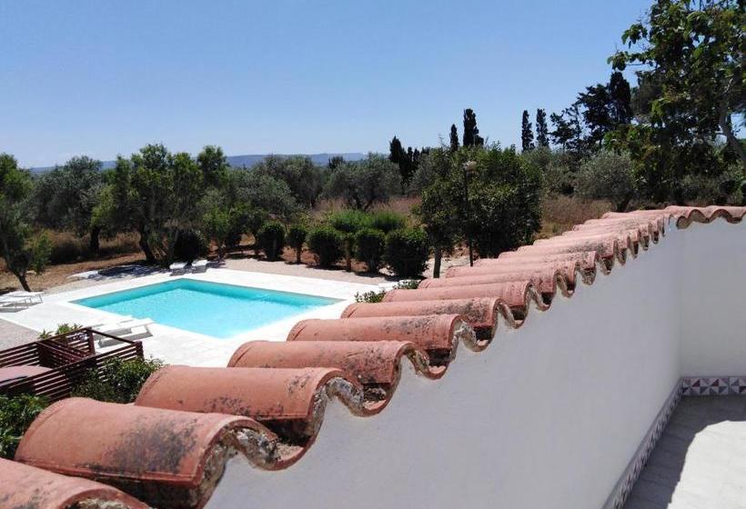 צימר Villa La Rucchetta Alghero