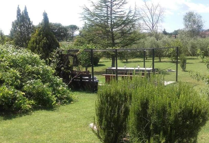 B&b Villa Barbarossa