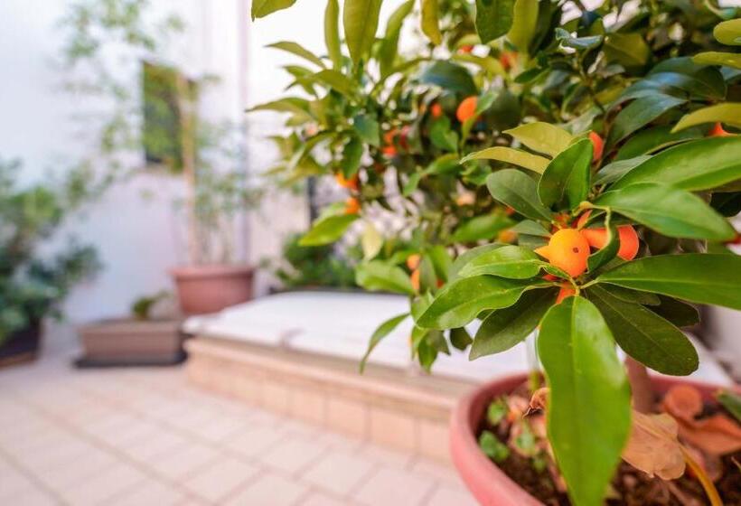 Bed And Breakfast Cairoli Exclusive Room