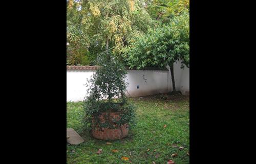 住宿加早餐  Casa Calicantus