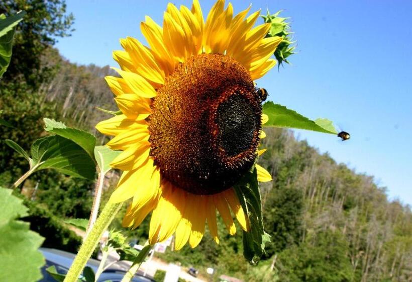 مبيت وإفطار Green Quiet Affittacamere