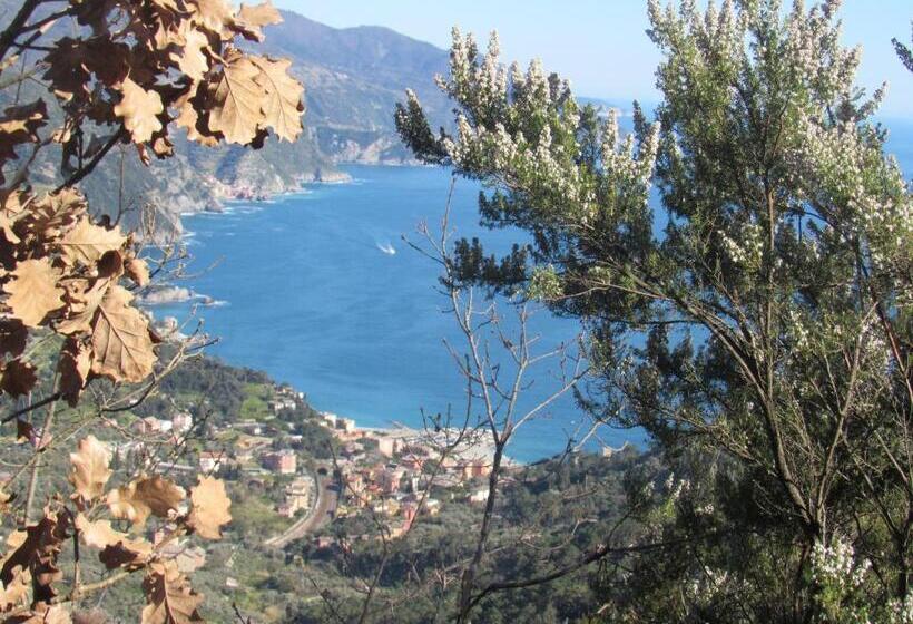 צימר Green Quiet Affittacamere