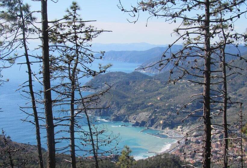 צימר Green Quiet Affittacamere