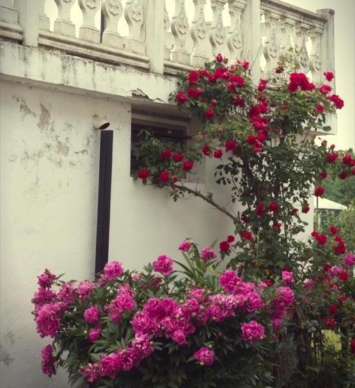 Bed and Breakfast Il Forno Dal 1922