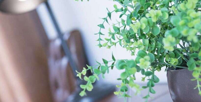 تختخواب و صبحانه La Civetta