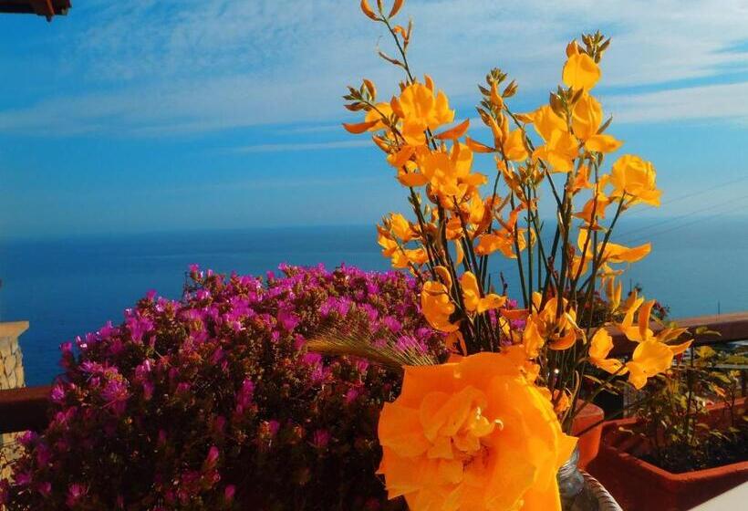 Bed and Breakfast La Serra Sul Mare