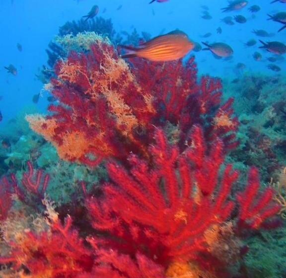 ベッドアンドブレックファースト La Villa Del Patrizio