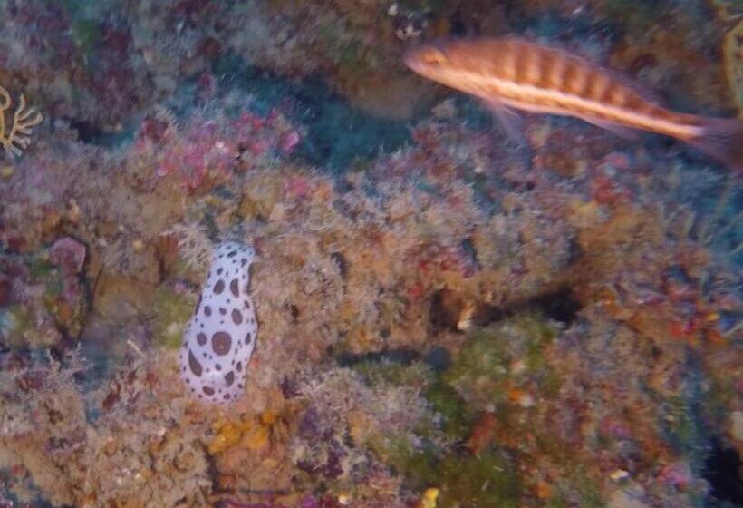 ベッドアンドブレックファースト La Villa Del Patrizio