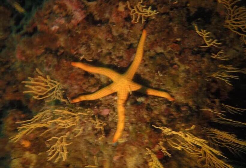 ベッドアンドブレックファースト La Villa Del Patrizio