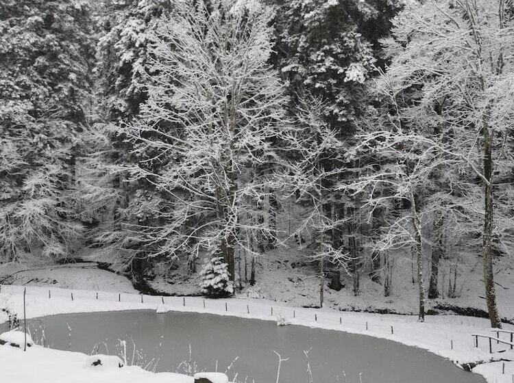 هتل Abetone E Piramidi Resort