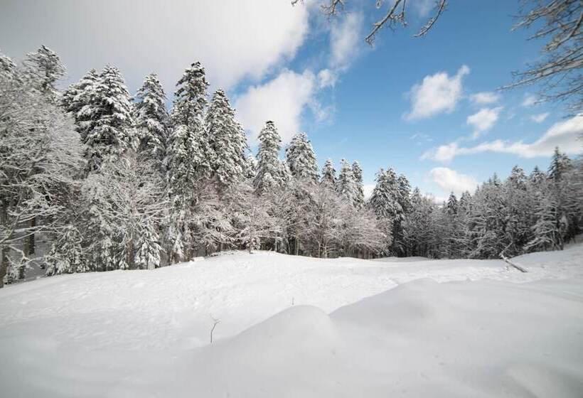 هتل Abetone E Piramidi Resort