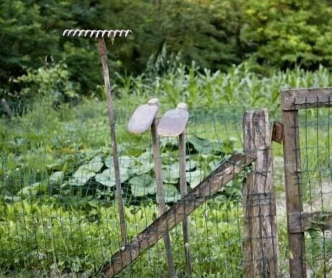 בית מלון כפרי Al Vecchio Convento