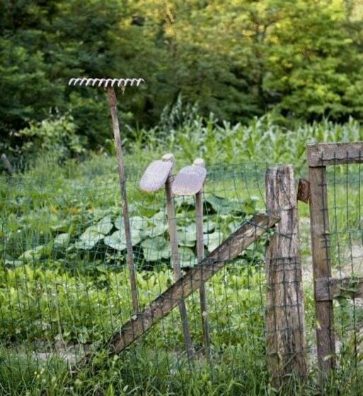 בית מלון כפרי Al Vecchio Convento