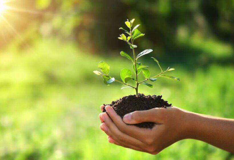 ホテル Isola Di Albarella Golf