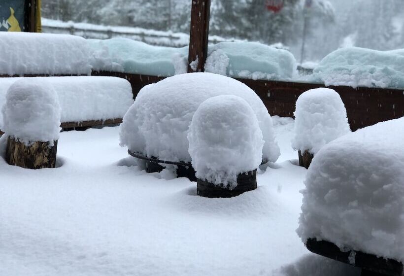 فندق Albergo Alpenrose Ski&bike Mountain