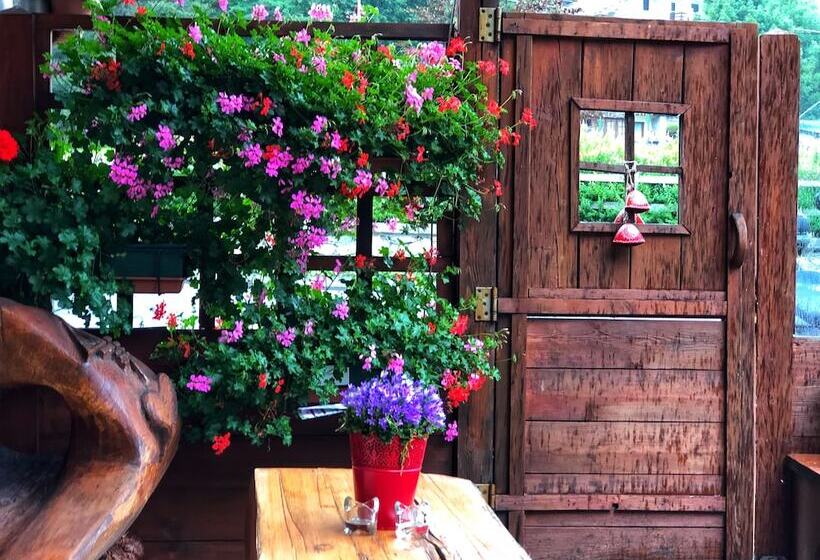 فندق Albergo Alpenrose Ski&bike Mountain