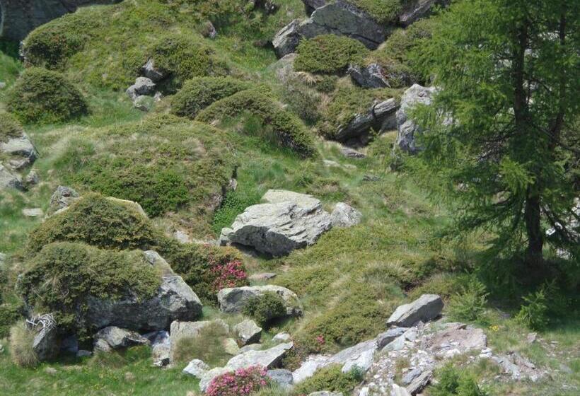 فندق Albergo Alpenrose Ski&bike Mountain