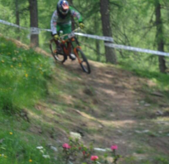 فندق Albergo Alpenrose Ski&bike Mountain
