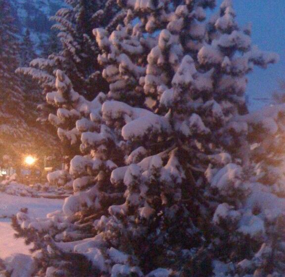 فندق Albergo Alpenrose Ski&bike Mountain