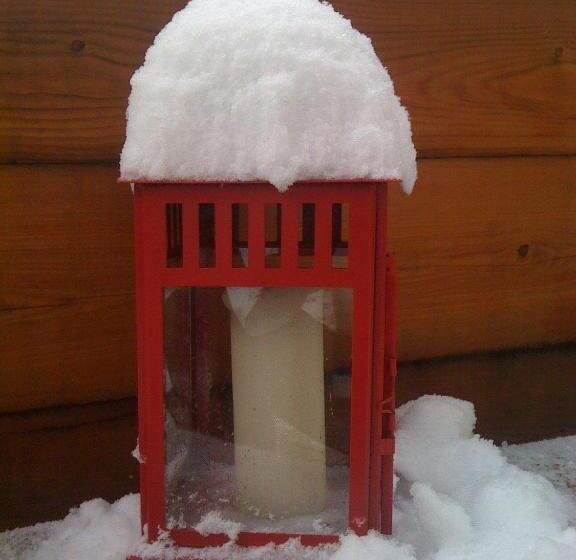 فندق Albergo Alpenrose Ski&bike Mountain