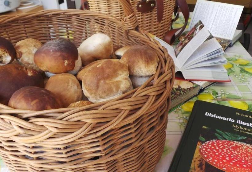 בית מלון כפרי Albergo Antico