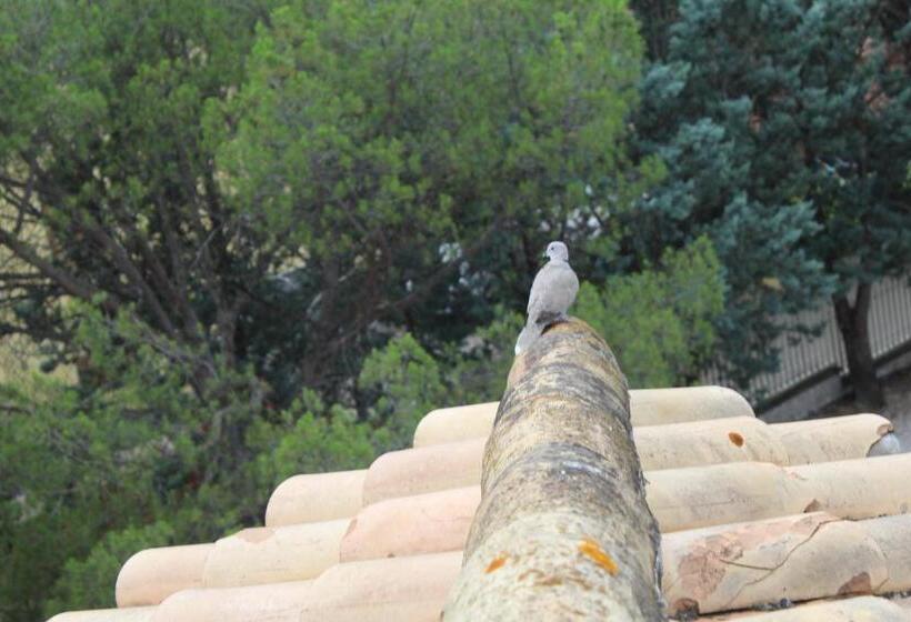 בית מלון כפרי Benedetti